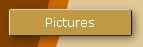 Pictures